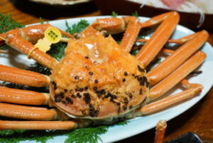 越前ガニの旬の時期と漁期間など