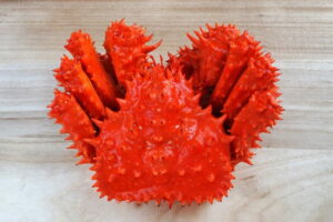 花咲ガニの旬はいつ？ヤドカリなの？