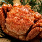 毛ガニの旬の時期！選び方は？