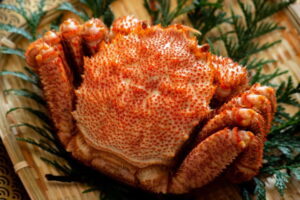 毛ガニの旬の時期!選び方は?