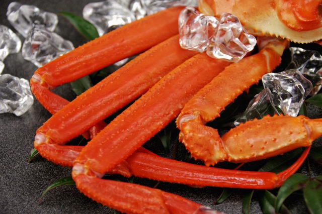 バルダイ種とオピリオ種の違いは？