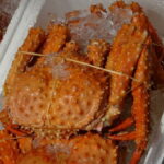 タラバガニの旬の時期！アブラガニとの違いは？