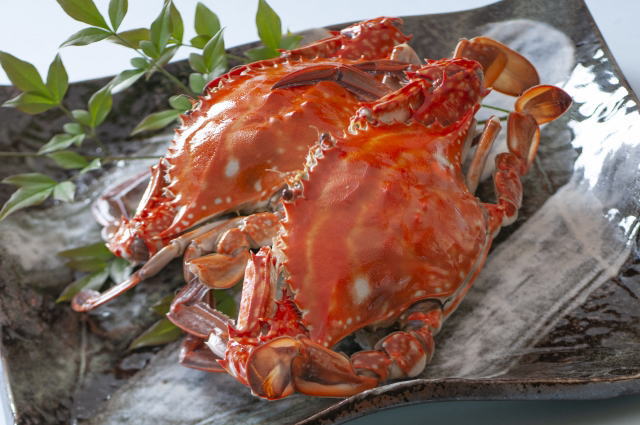 ワタリガニの旬