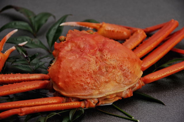 ズワイガニの旬と産卵の時期