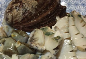 クロアワビ（黒アワビ）の旬・食べ方は？赤アワビとの違いなどについても解説