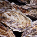 牡蠣の旬と保存方法は?栄養と食べ方などについても解説