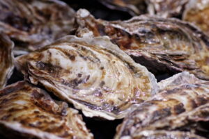 牡蠣の旬と保存方法は？栄養と食べ方などについても解説