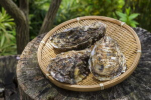 岩牡蠣の旬の時期は？食べ方などについても解説