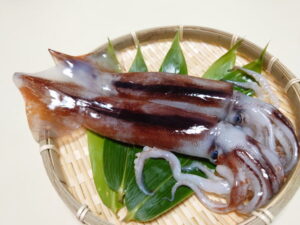 スルメイカの旬と保存方法は?栄養と食べ方などについても解説