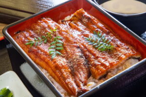 ウナギの旬の時期・保存方法は？栄養や食べ合わせについても解説