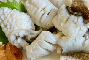 ハモ（鱧）の旬の時期と保存方法は？栄養と食べ方などについても解説