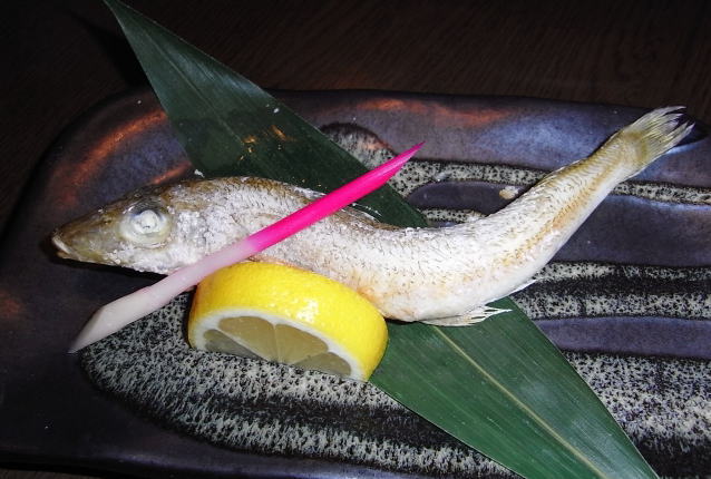 シロギスの旬と産卵期