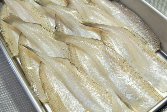 シロギスの選び方