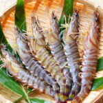 クルマエビ(車海老)の旬と保存方法は?栄養と食べ方などについても解説