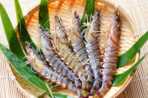 クルマエビ(車海老)の旬と保存方法は?栄養と食べ方などについても解説