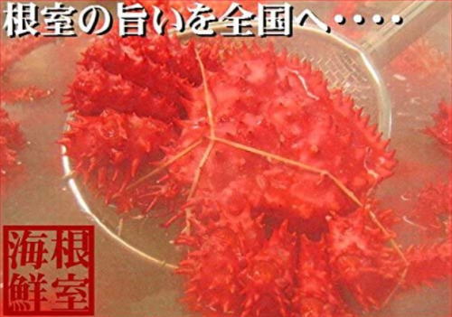 花咲ガニホームパック1～4尾で2kg前後詰め<根室海鮮>
