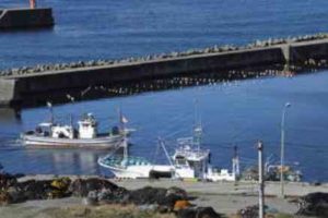 スロージギングの仕掛け(タックル)と釣り方・コツ