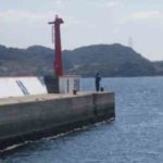 ロックフィッシュのジギング仕掛けと釣り方【ショアジギング】
