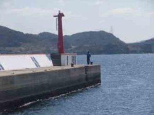 ロックフィッシュのジギング仕掛けと釣り方【ショアジギング】