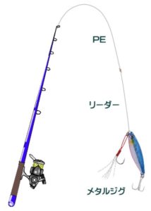 オオモンハタ釣りの仕掛けと釣り方【ライトキャスティング】 