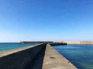 イイダコ釣りの時期・時間帯