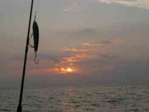 ライトジギングの仕掛け(タックル)と釣り方