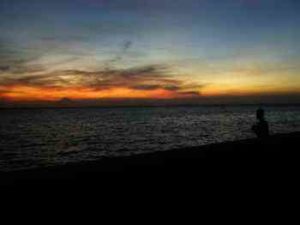 タチウオのテンヤ仕掛けと釣り方【堤防】