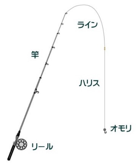 ヘチ釣りの仕掛け タックル と釣り方 落とし込み