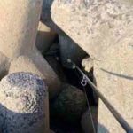 穴釣りの仕掛けとコツ【ブラクリ・ワームなど】