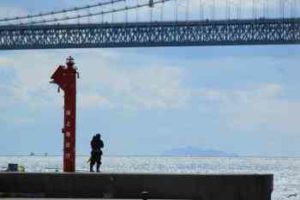 ヘチ釣りの仕掛け(タックル)と釣り方【落とし込み】