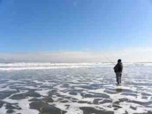 サーフヒラメのタックルと釣り方【ヒラメジギングなど】