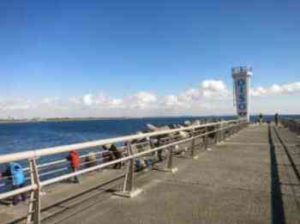 カゴ釣りの仕掛けと釣り方のコツ【遠投カゴ釣りも】