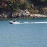 オオモンハタ釣りの仕掛けと釣り方【ライトキャスティング】