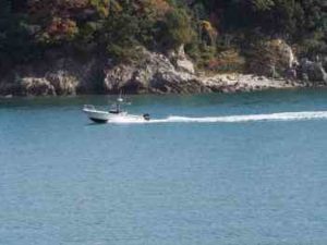 オオモンハタ釣りの仕掛けと釣り方【ライトキャスティング】