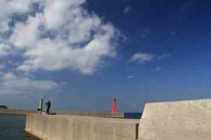 サビキ釣りの投げ仕掛けと釣り方