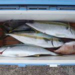 【管理人釣行】ヒラマサの完全フカセ釣り!引きは強烈でした!