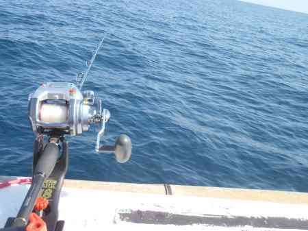 マダイ釣り 釣果