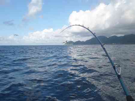 ヒラマサ釣り 釣果