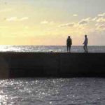 ハマチ・ブリのカゴ釣り仕掛けと釣り方