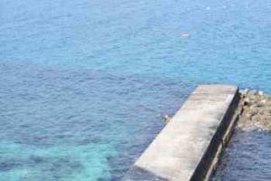 マイクロテンヤの仕掛けと釣り方