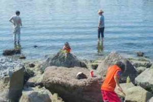 ハゼ釣りのウキ釣り仕掛けと釣り方