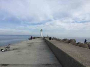 マダイのカゴ釣り仕掛けとコツ【堤防】