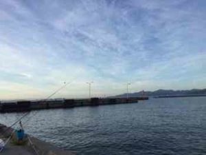 マダイの投げ釣り仕掛けと釣り方【時期】