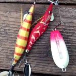 【管理人釣行】タコ釣りの船釣りの釣果!【明石】