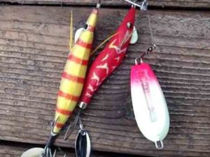 【管理人釣行】タコ釣りの船釣りの釣果!【明石】