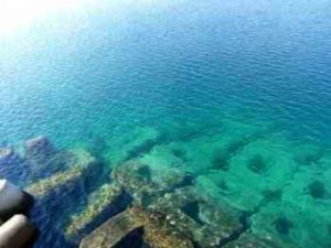 アジングの釣り方とアクション【初心者必見】