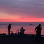 アナゴの投げ釣り仕掛けと釣り方