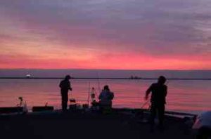アナゴの投げ釣り仕掛けと釣り方