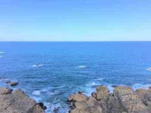 イサキのカゴ釣り仕掛けと釣り方