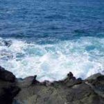 イサキのルアータックルと釣り方